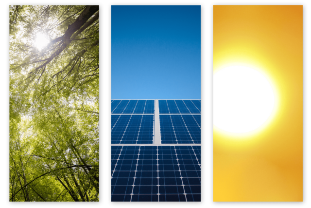 donati-environmental_1